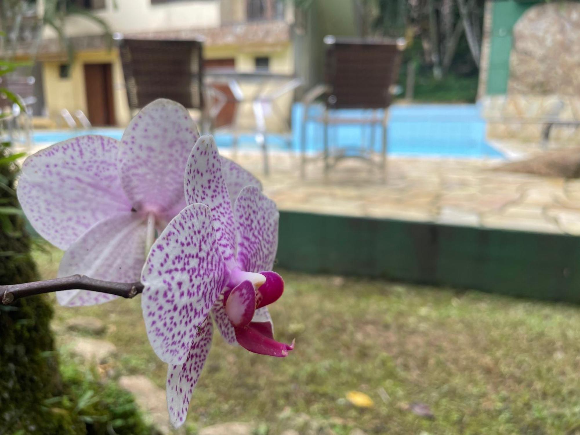 Pousada Canto de Itamambuca Ubatuba Exterior foto